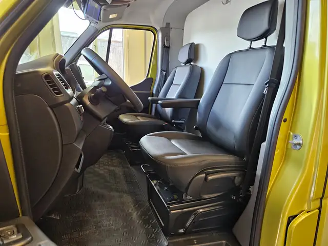 Renault Master Dickenherr Pferdetransporter Ansicht 23