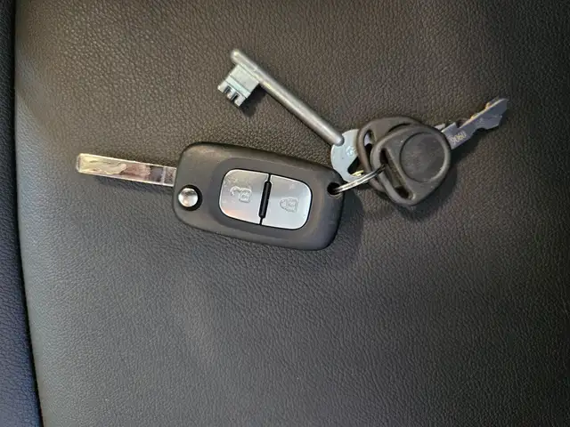 Renault Master Dickenherr Pferdetransporter Ansicht 37