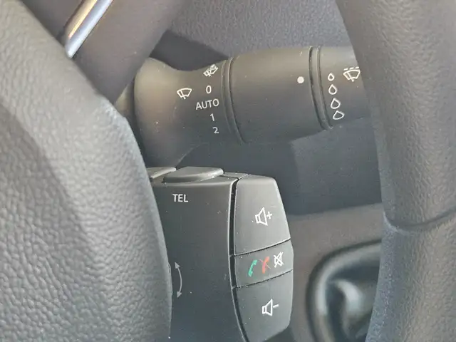 Renault Master Dickenherr Pferdetransporter Ansicht 28