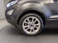 Ford EcoSport 1.0 ecoboost Titanium s&s 125cv my20.25 Grigio - thumbnail 6