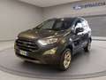 Ford EcoSport 1.0 ecoboost Titanium s&s 125cv my20.25 Grigio - thumbnail 1
