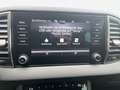 Skoda Karoq 2.0 TDI DSG 4x4 Clever AHK Navi LED Gris - thumbnail 20