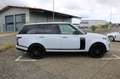 Land Rover Range Rover Autobiography*Vollausstattung* Alb - thumbnail 4
