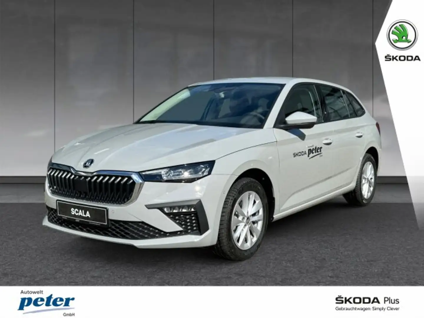 Skoda Scala SCALA SELECTION 1.0 TSI DSG *MATRIX*NAVI*-KAMERA Gris - 1