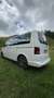 Volkswagen T5 Multivan Life 2,0 BMT BiTDI 4motion D-PF DSG - thumbnail 2