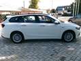Fiat Tipo Tipo SW 1.6 mjt CITY LIFE Bianco - thumbnail 4