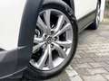 Mazda CX-30 2.0 e-SkyActiv-G M Hybrid Comfort | CarPlay | ACC Alb - thumbnail 35