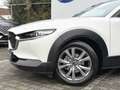 Mazda CX-30 2.0 e-SkyActiv-G M Hybrid Comfort | CarPlay | ACC Alb - thumbnail 33