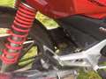 Honda CBF 125 Czerwony - thumbnail 6