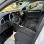 Volkswagen T-Roc T-Roc 2022 1.0 tsi Life 110cv Bianco - thumbnail 5