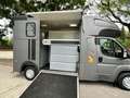 Peugeot Boxer MSG 1-2 Pferde Gris - thumbnail 6