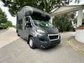 Peugeot Boxer MSG 1-2 Pferde Gris - thumbnail 2