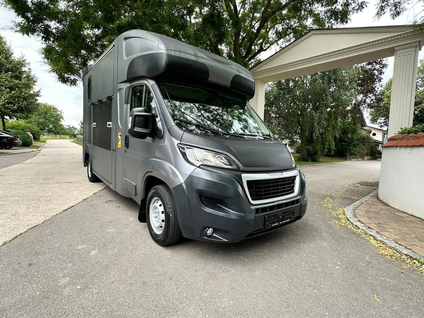 Peugeot Boxer MSG 1-2 Pferde Gris - 2