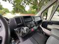 Peugeot Boxer MSG 1-2 Pferde Gris - thumbnail 8