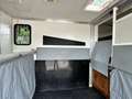 Peugeot Boxer MSG 1-2 Pferde Gris - thumbnail 10