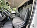 Peugeot Boxer MSG 1-2 Pferde Gris - thumbnail 7