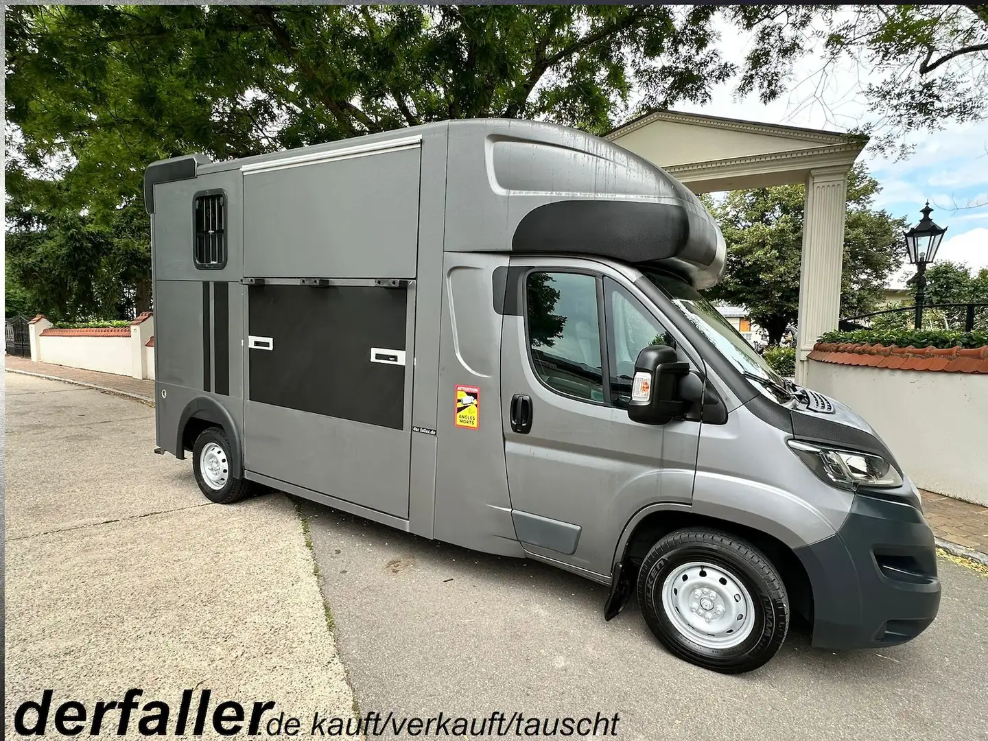 Peugeot Boxer MSG 1-2 Pferde Gris - 1
