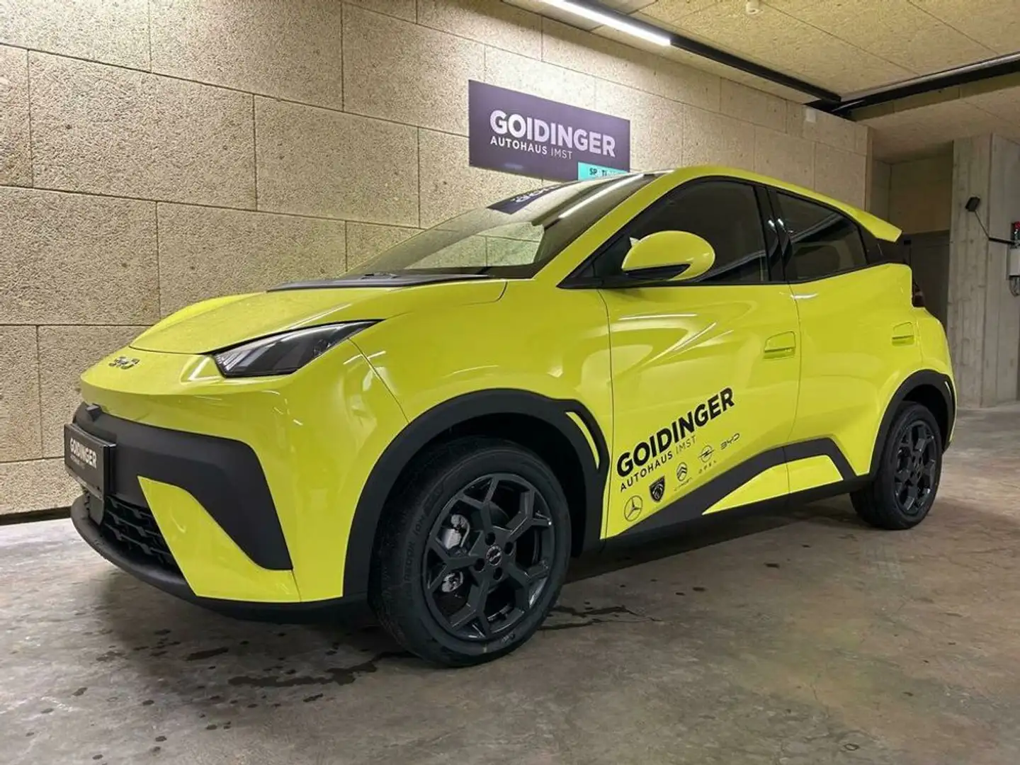 BYD Dolphin Surf 43,2 kWh Boost Österreich Paket Grün - 2