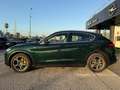 Alfa Romeo Stelvio Stelvio 2020 2.2 t Ti Q4 210cv auto Verde - thumbnail 14