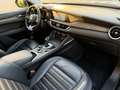Alfa Romeo Stelvio Stelvio 2020 2.2 t Ti Q4 210cv auto Verde - thumbnail 13
