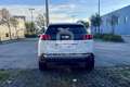 Peugeot 3008 3008 BlueHDi 130 S&S EAT8 GT Line Bianco - thumbnail 6