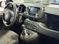 Fiat Panda Panda 2024 1.0 firefly hybrid  s Blu/Azzurro - thumbnail 9