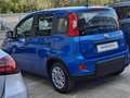 Fiat Panda Panda 2024 1.0 firefly hybrid  s Blu/Azzurro - thumbnail 4