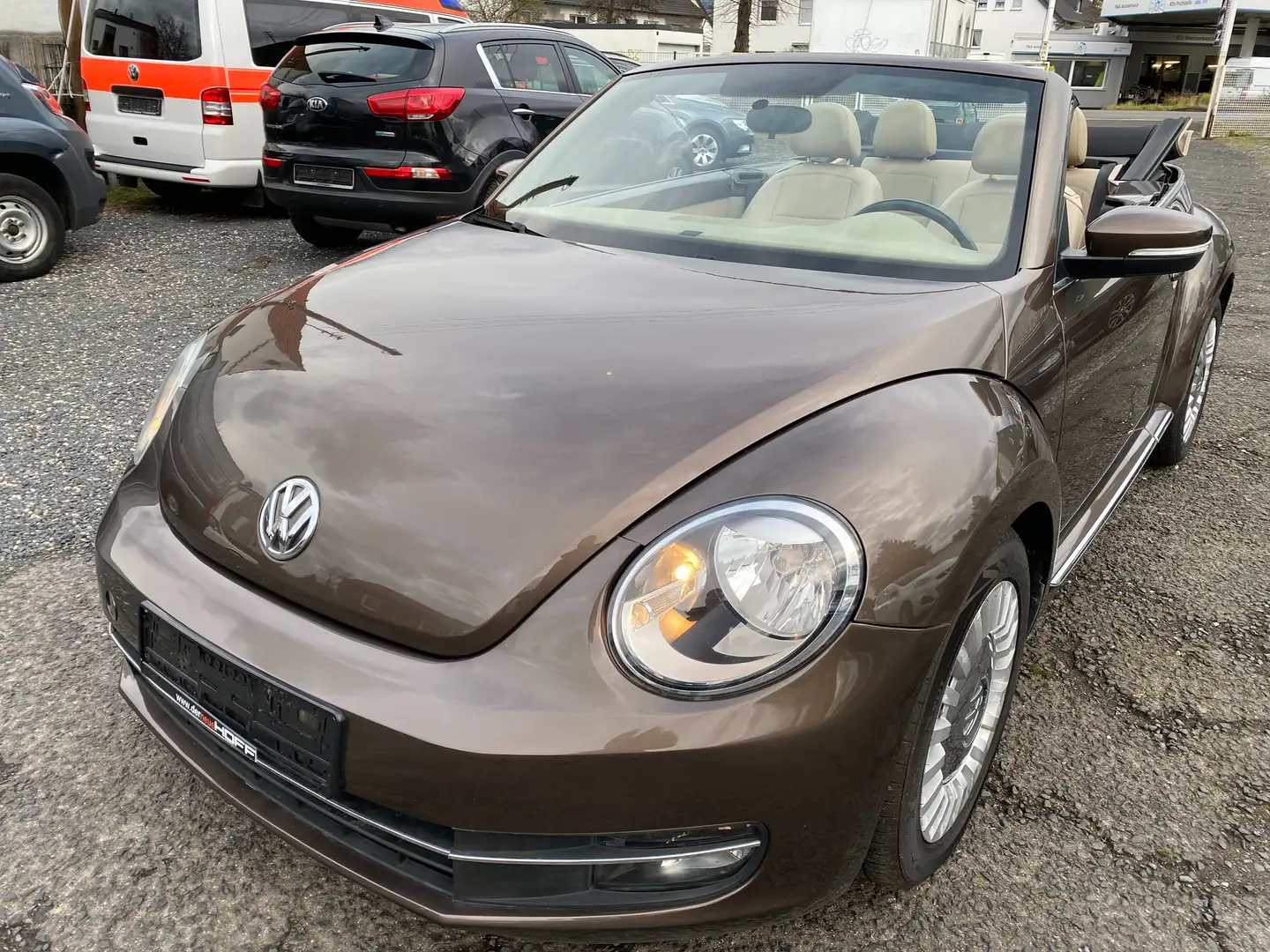 Volkswagen New Beetle Braun - 1