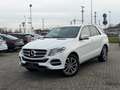 Mercedes-Benz GLE 250 d 4Matic *T-Leder*Navi*LED*AHK* Blanc - thumbnail 1