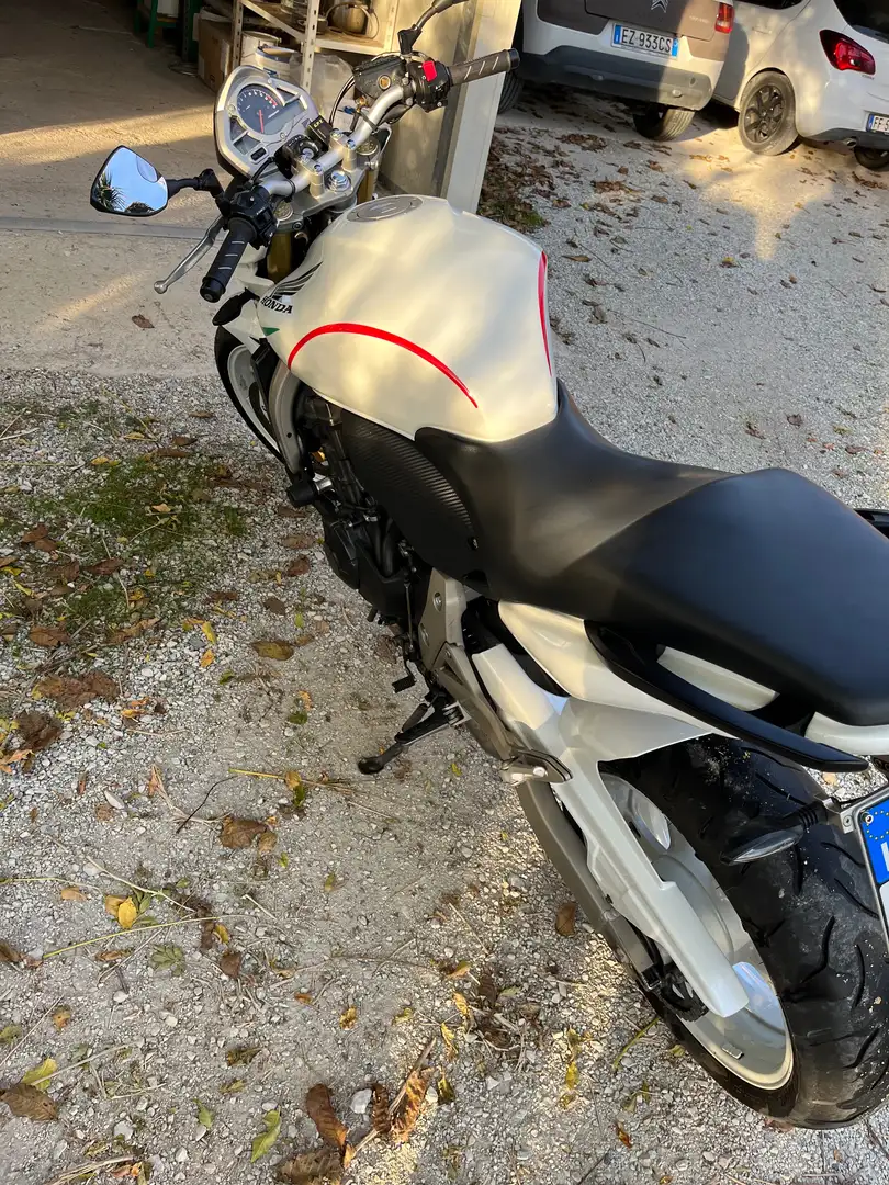 Honda CB 600 Bílá - 2