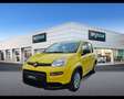 Fiat Panda 1.0 FireFly Hybrid Giallo - thumbnail 1