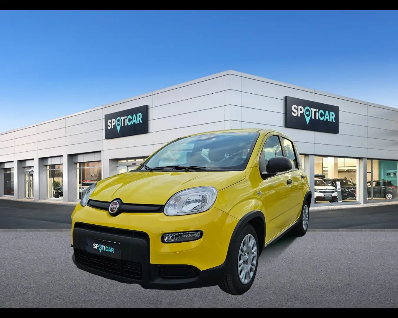 Fiat Panda 1.0 FireFly Hybrid Giallo - 1