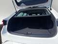 SEAT Leon Sportstourer FR 1.5 TSI STANDHZG LED NAV Bianco - thumbnail 5