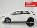 Kia Rio Rio 1.2 MPi 5 porte Active - thumbnail 5