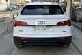 Audi Q5 Q5 SPB 40 TDI quattro S tronic S line plus Weiß - thumbnail 5