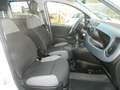 Fiat Panda VAN 1.0 FireFly 70CV HYBRID E6D - UNIPRO TAGLIANDI Blanc - thumbnail 15