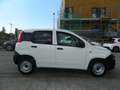 Fiat Panda VAN 1.0 FireFly 70CV HYBRID E6D - UNIPRO TAGLIANDI Blanc - thumbnail 7