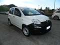 Fiat Panda VAN 1.0 FireFly 70CV HYBRID E6D - UNIPRO TAGLIANDI Blanc - thumbnail 3