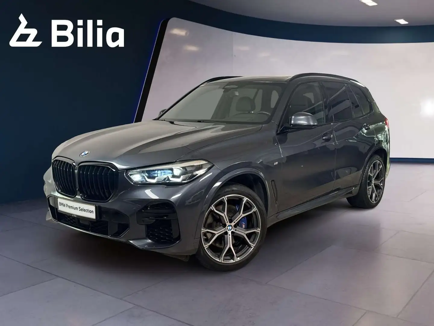 BMW X5 xDrive30d M Sportpaket Gris - 1