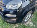Fiat Panda Panda III 2012 1.2 Lounge 69cv NEOPATENTATI Negro - thumbnail 8
