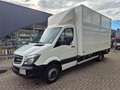 Mercedes-Benz Sprinter 513 CDI Koffer 21kub 130 pk Euro 5B GVW 3500 KG Weiß - thumbnail 4