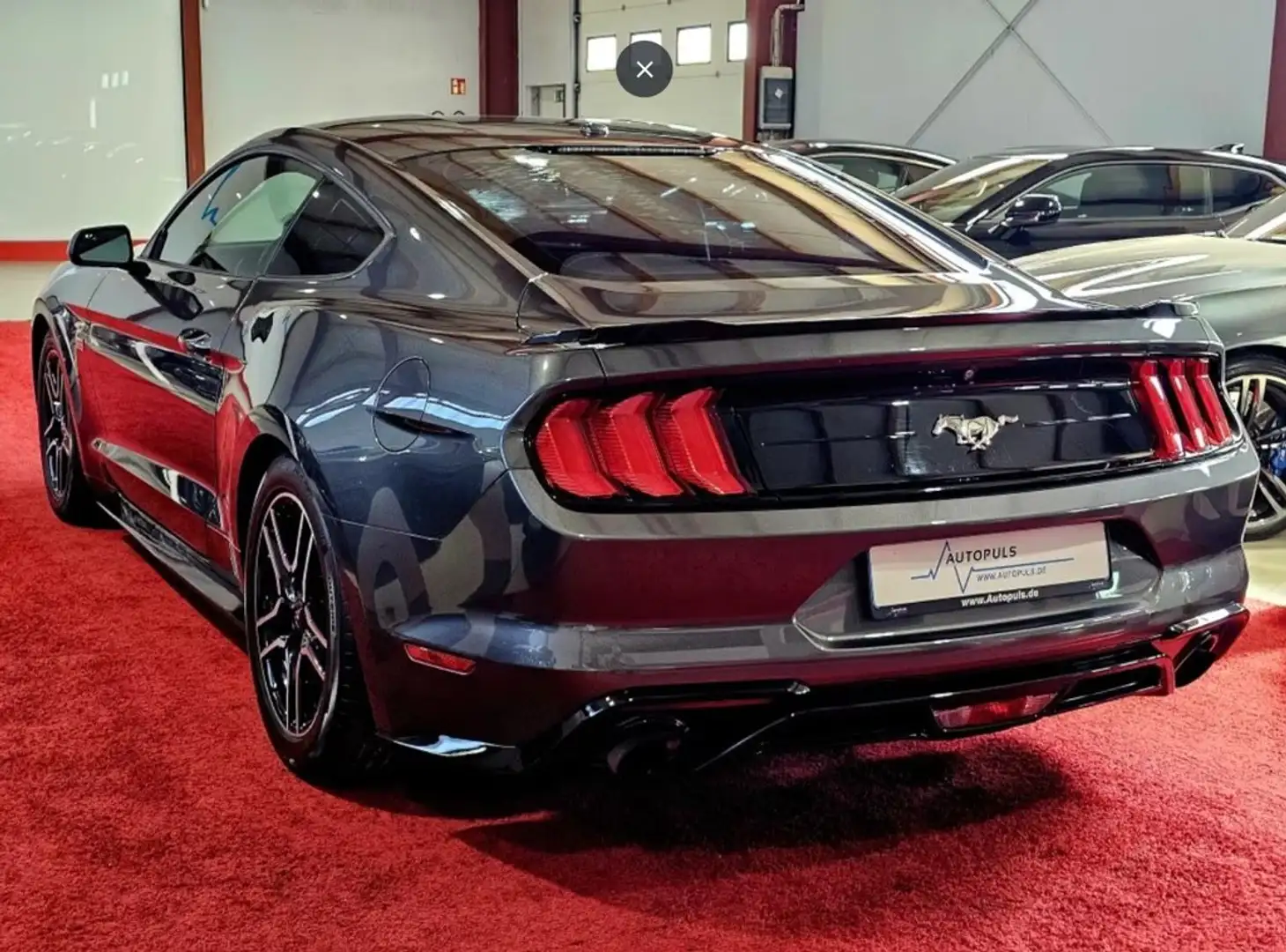 Ford Mustang 2.3 EcoBoost 214kW (Fastback) Gris - 2