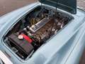 Austin-Healey 100 100/6 (BN4) Blau - thumbnail 10