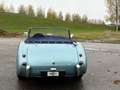 Austin-Healey 100 100/6 (BN4) Blau - thumbnail 13