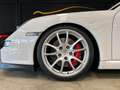 Porsche 997 GT3 3.6 Clubsport - Manutenzioni Ufficiali Alb - thumbnail 12