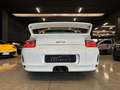 Porsche 997 GT3 3.6 Clubsport - Manutenzioni Ufficiali Blanc - thumbnail 8