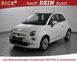 Fiat 500 Dolcevita PANO+LEDER+NAVI+DAB+MFL+TEMP+PDC+ White - thumbnail 4