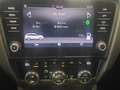 Skoda Octavia Combi 1.5 TSI ACT Clever *Panorama*8Fach* Alb - thumbnail 14