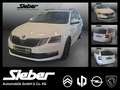 Skoda Octavia Combi 1.5 TSI ACT Clever *Panorama*8Fach* Wit - thumbnail 1