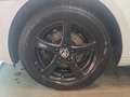 Skoda Octavia Combi 1.5 TSI ACT Clever *Panorama*8Fach* Wit - thumbnail 15